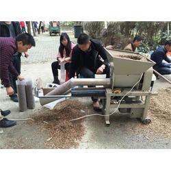 食用菌菌種產(chǎn)業(yè)與貿(mào)易全景解析 從設(shè)備技術(shù)到國(guó)際流通