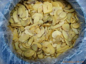 漳州順榮進(jìn)出口貿(mào)易 打造食用菌全產(chǎn)業(yè)鏈的國(guó)際橋梁